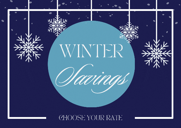 Blue background with white snowflakes and a blue globe that reads winter savings